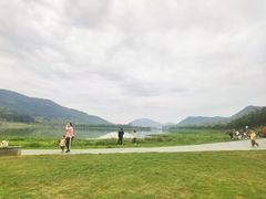 -风云岭森林公园