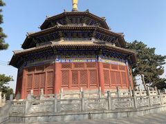 -中国唐苑