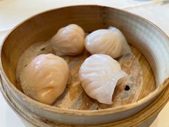 原汁鲜虾饺-利苑酒家(合景国际金融广场店)
