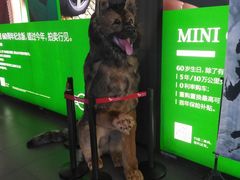 -卢米埃影城(住总万科杜比全景声激光店)
