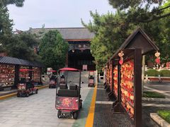 -青岛方特梦幻王国
