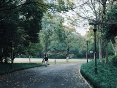 -杭州城北体育公园