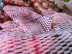 -江杨农产品批发市场