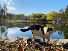 -上海共青森林公园