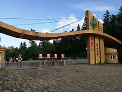 -五营红松林海景区