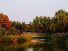 -北京鹫峰国家森林公园