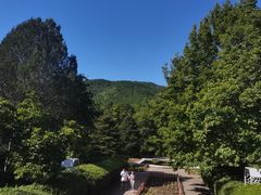 -国家植物园南园