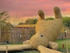 -中国天府农业博览园