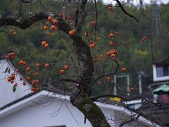 -丹山赤水风景名胜区