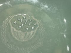 -云龙山庄