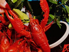 -浙食逅·弄虾·融合菜·小龙虾(双城国际店)