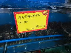 -蚝专家(北滘店)