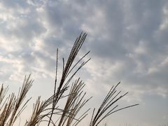 -良渚古城遗址公园