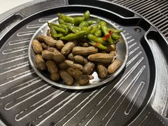 -山野的朋友露营炭火烤肉