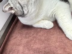 -爱诺耐芙动物医院(万博店)