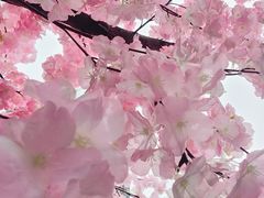 -首开·龙湖成都西宸天街