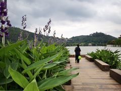 -顺峰山公园