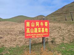 -炳胜品味(深圳湾万象城店)