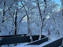 -中旅松花湖滑雪场