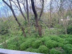-太子山公园(园东路)