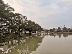 -江心屿景区