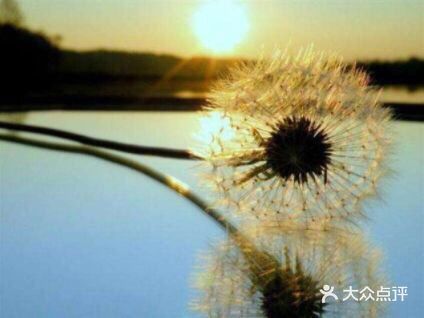 什么是底线？ 底线是不能触碰的尊严， 底线是不能失去