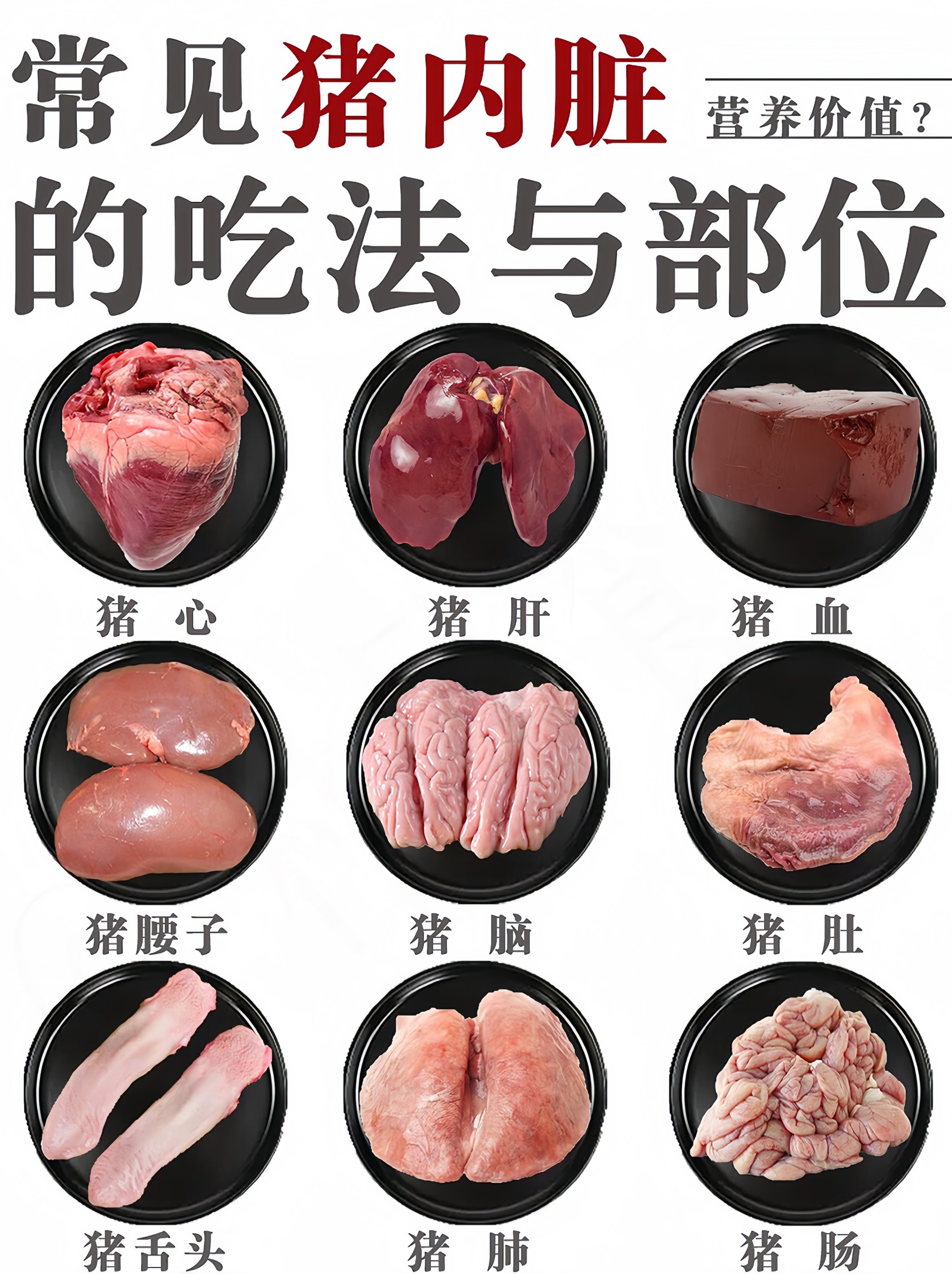 猪内脏分解图片大全图片