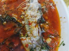 -老字号怡玺·藿香雅鱼(20年雅安店)