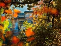 -塔川景区