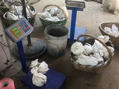 -马陆小张葡萄园农家乐