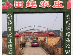 -田趣农庄草莓采摘园