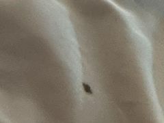 -寓米精品公寓(普君北路地铁站店)