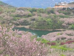 -四明山国家森林公园