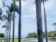 -三亚亚龙湾红树林度假酒店