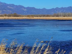 -野鸭湖国家湿地公园