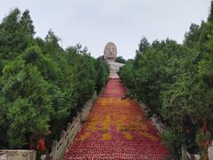 -蒙山大佛景区
