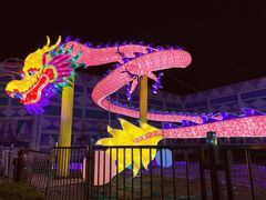 -锦江乐园舞狸花花游园会(夜场专享)
