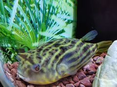 -上海海洋水族馆