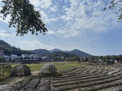 -红山村