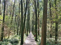 -同里国家湿地公园