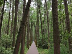 -同里国家湿地公园