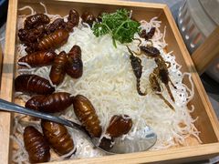 -老山东·山东菜(鲁菜名店)