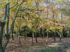 -广富林郊野公园