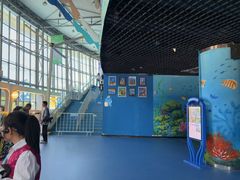 -海合安成都极地海洋公园