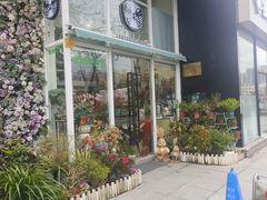 -FEI FEI FLOWER鲜花店·气球派对·宝宝宴布置(虹口德必运动Loft店)