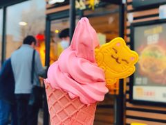 -麦当劳(王顶堤店)