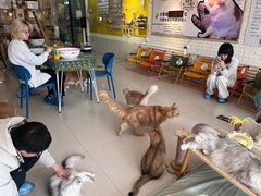 -平行世界·猫咖(首经贸店)