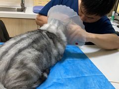 -芭比堂动物医院·犬猫全科·异宠专科(雁塔分院)