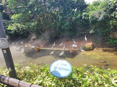 -珠海长隆海洋王国
