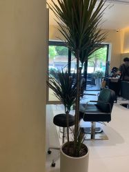 点击看大图 -Garden花園造型